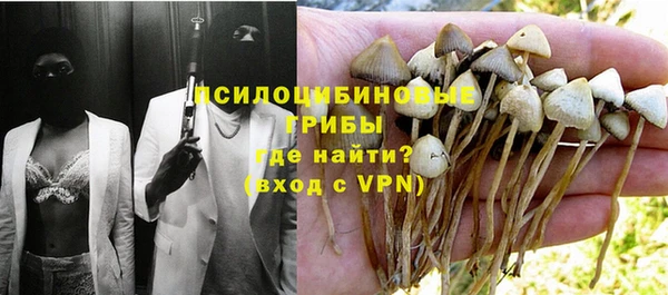 дживик Киреевск