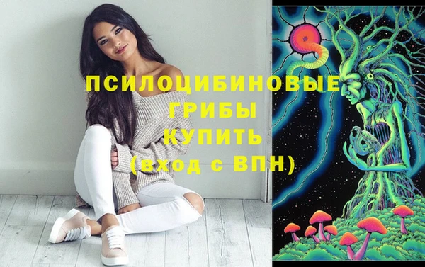 дживик Киреевск