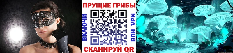 Купить Инта Псилоцибиновые грибы Psilocybe